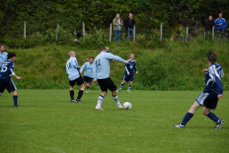 fiksrekvvil22011 010